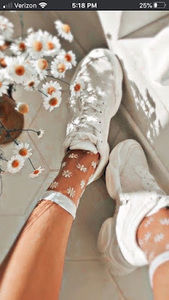 Meet your Posher, Brynn